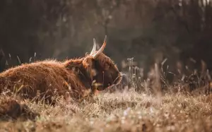 Jak Dlouho Trvá Nová Občanka